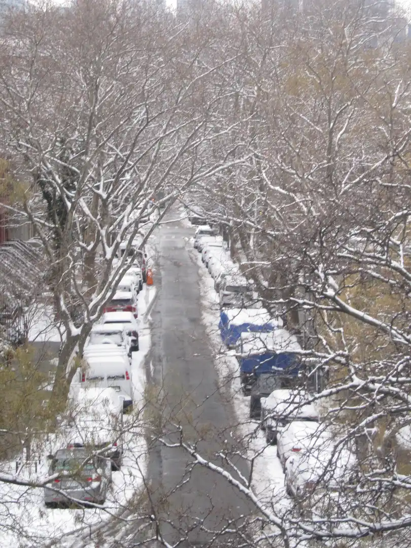 Snow-covered residential street seen from above through bare trees