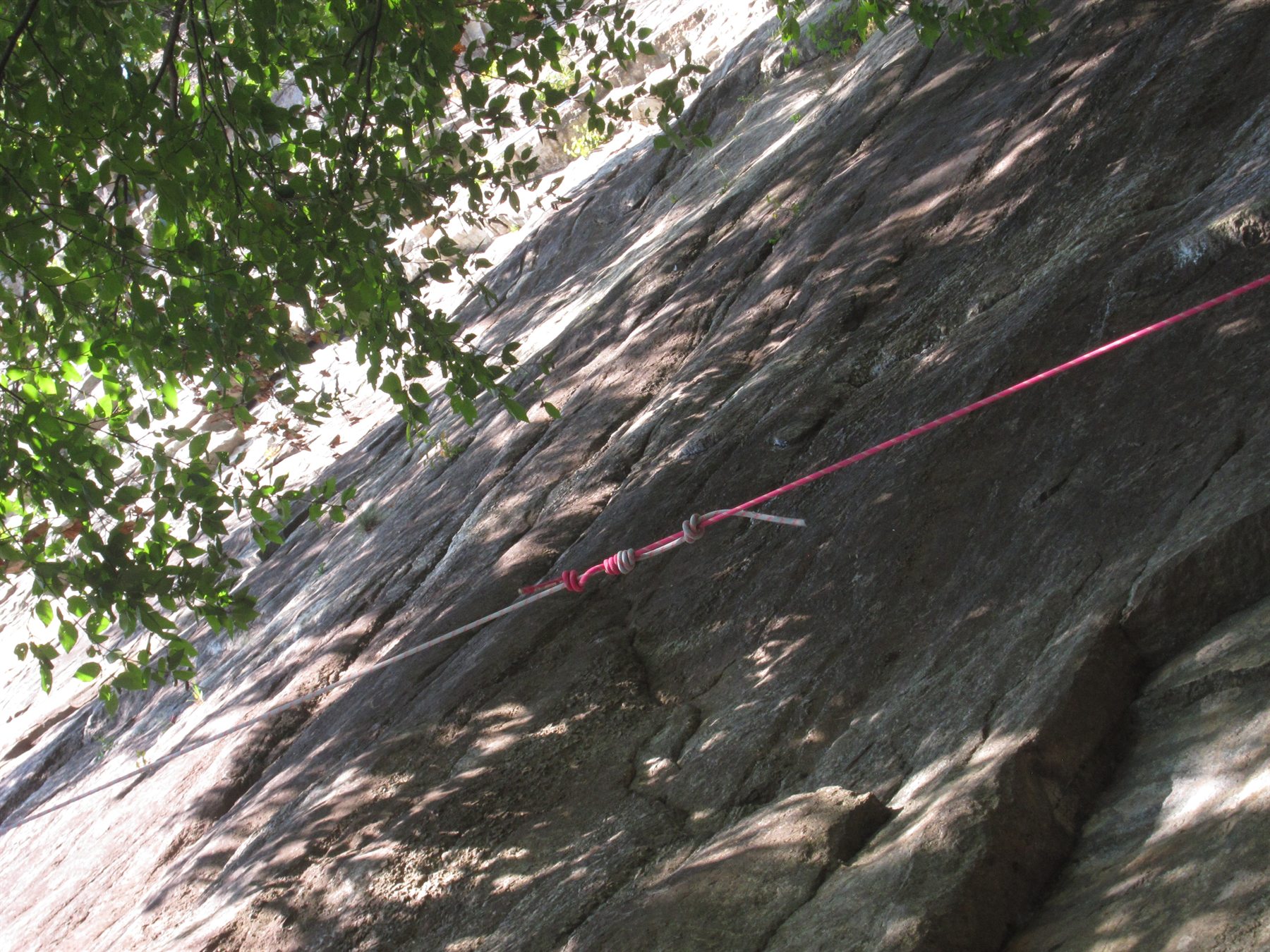 Pink climbing rope knotted against a massive granite face in dappled light