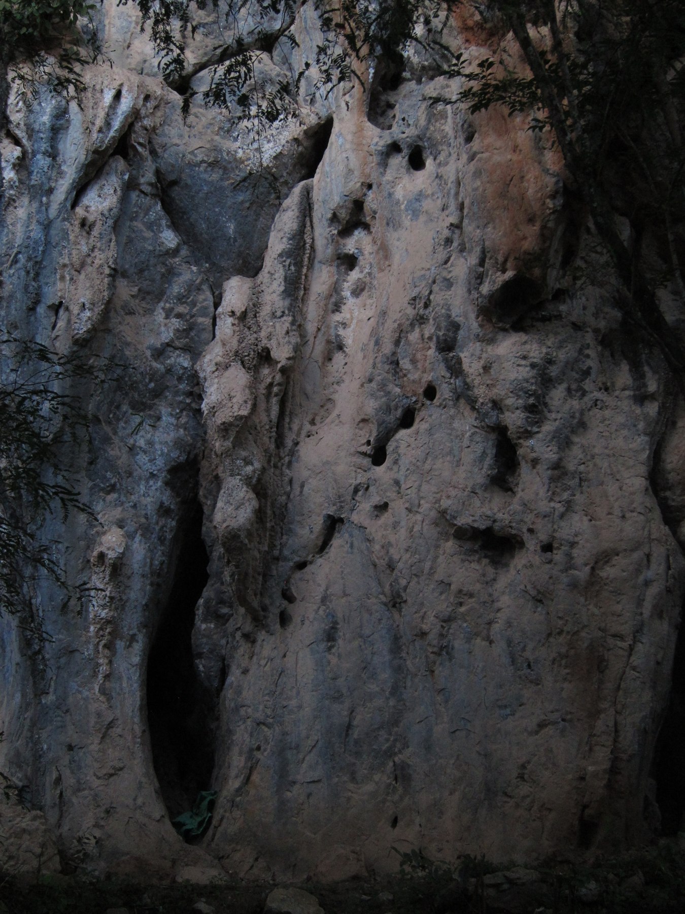 Vertical limestone cliff face and cave arch in Xishuangbanna with hanging canopy and textured rock features